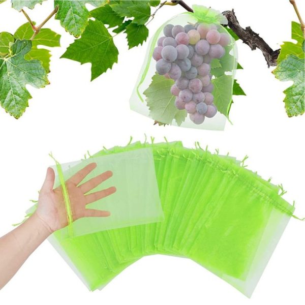 100pcs / Pack Fruit Protection Bag Anti-Insect And Anti-Bird Net Bag 7 x 9cm (Green) - Image 2