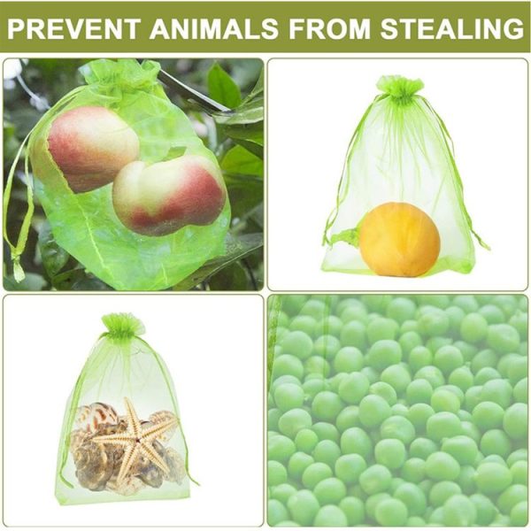 100pcs / Pack Fruit Protection Bag Anti-Insect And Anti-Bird Net Bag 7 x 9cm (Green) - Image 3
