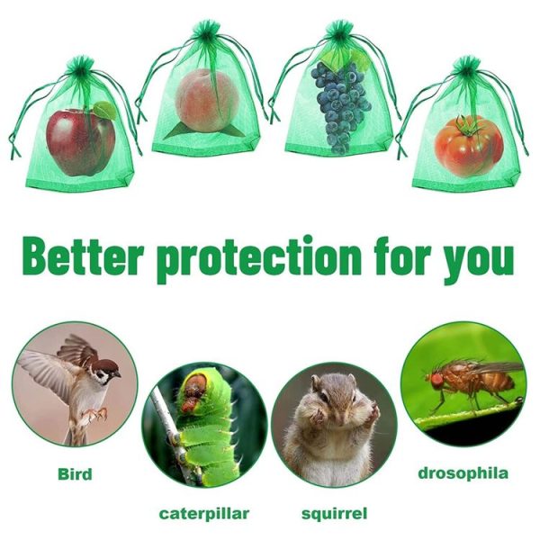 100pcs / Pack Fruit Protection Bag Anti-Insect And Anti-Bird Net Bag 7 x 9cm (Green) - Image 4