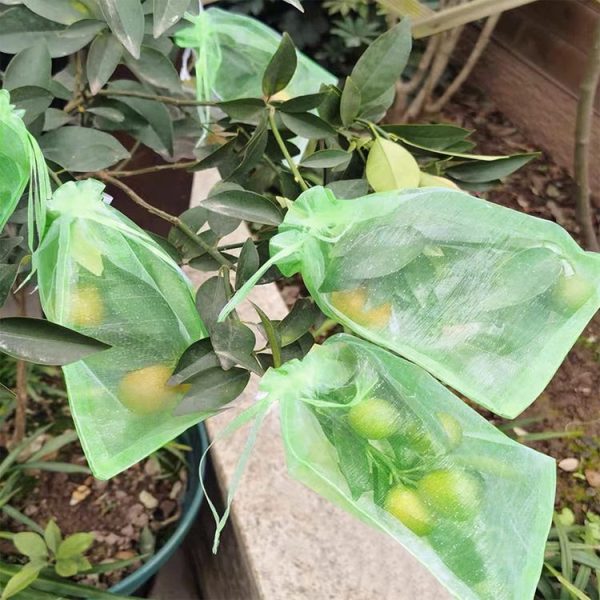 100pcs / Pack Fruit Protection Bag Anti-Insect And Anti-Bird Net Bag 7 x 9cm (Green) - Image 6