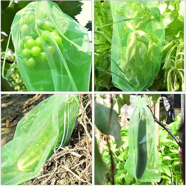 100pcs / Pack Fruit Protection Bag Anti-Insect And Anti-Bird Net Bag 7 x 9cm (Green) - Image 7