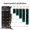 PCI-E X8 Double Disk Transfer Card NVME M.2 MKEY SSD RAID Array Expansion Adapter (PH45) - Image 5