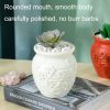 PE Hydroponic Vase Home Wet And Dry Flower Arrangement Container (Sea Blue) - Image 3