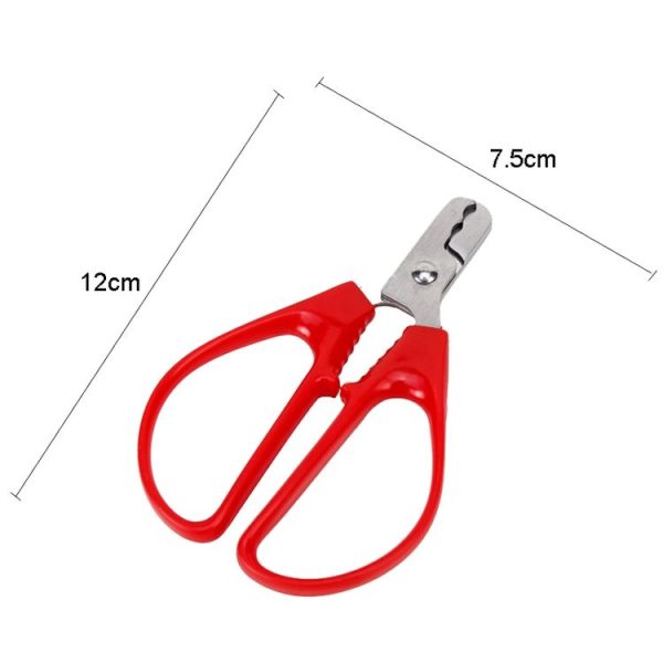 Shelling Scissors Peanut Shelling Clip Pine Nut Pliers Household Melon Seed Peeling Tool - Image 2