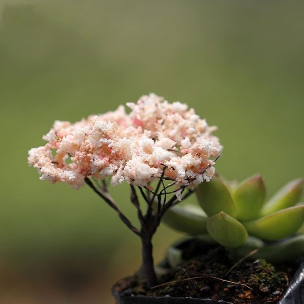 5pcs Micro Landscape Ornaments Simulated Christmas Trees Succulent Accessories Materials, Style: Green Bamboo 1 - Image 3
