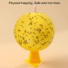 8cm Fruit Fly Balls for Indoor Use Insect Trap Sticky Insect Balls (Yellow With Base+Double-side Glue) - Image 3