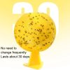 8cm Fruit Fly Balls for Indoor Use Insect Trap Sticky Insect Balls (Yellow With Base+Double-side Glue) - Image 4