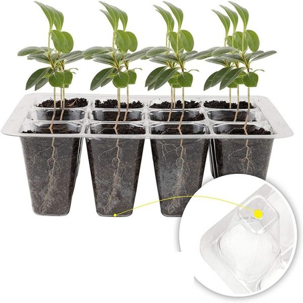 1pcs / set 12-hole Thickened Adjustable Breathable Cover Seedling Box (18.5x14.5x11cm) - Image 3