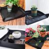 5pcs / Set Succulent Plant Gardening Tools Set Indoor Growing Removal Pots Horticultural Kits - Image 4