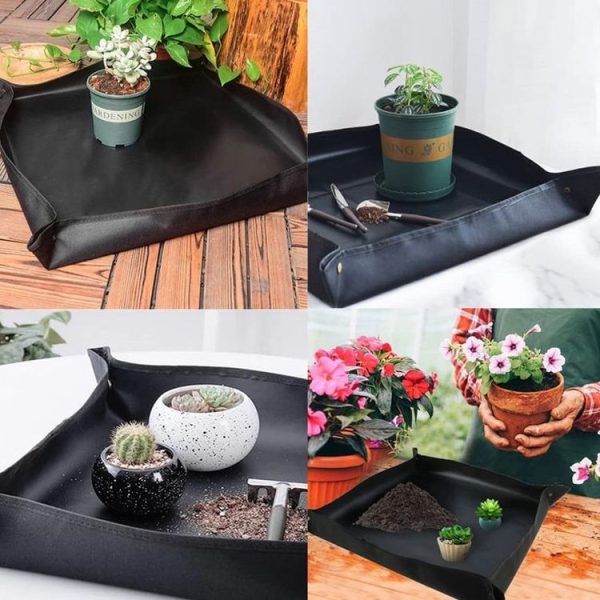 5pcs / Set Succulent Plant Gardening Tools Set Indoor Growing Removal Pots Horticultural Kits - Image 4