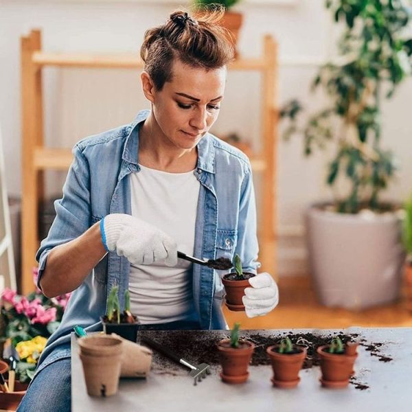 5pcs / Set Succulent Plant Gardening Tools Set Indoor Growing Removal Pots Horticultural Kits - Image 6