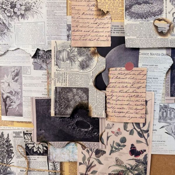 30 Sheets Scrapbook Paper Vintage Newspaper Decoration Background Sticker, Style: Herbs - Image 6