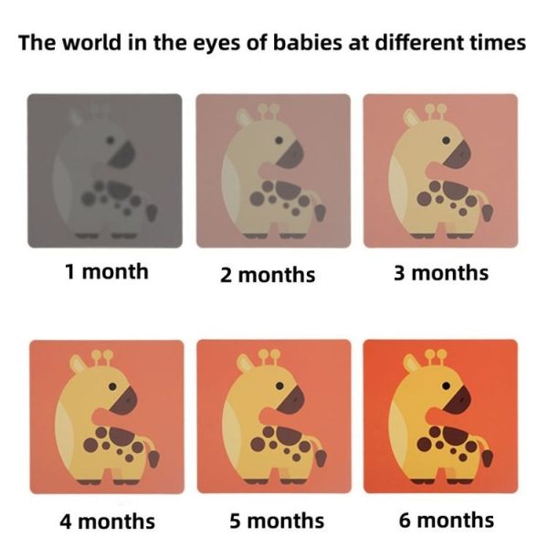 20pcs / Book Baby Early Learning Card Children Eye Care Visual Stimulation Card, Style: 1-order Black And White - Image 11