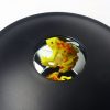 3D Mirascopel Visual Illusion Box Optical Holographic Projection Physical Imaging Educational Science Toys (Frog+Ladybug) - Image 3