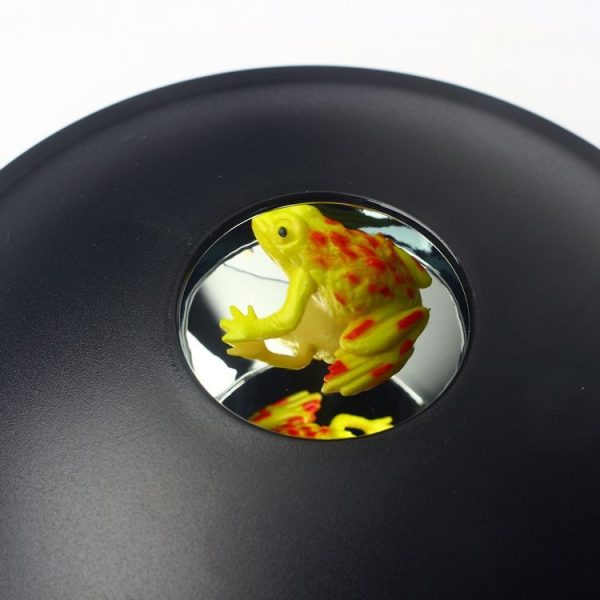 3D Mirascopel Visual Illusion Box Optical Holographic Projection Physical Imaging Educational Science Toys (Frog+Ladybug) - Image 3