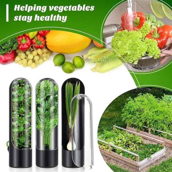 Herb Crisper Vegetable Keep Fresh Container Cilantro Herb Storage Container (Black) - Image 2