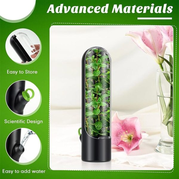 Herb Crisper Vegetable Keep Fresh Container Cilantro Herb Storage Container (Black) - Image 4