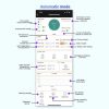 WIFI Wireless Cell Phone Remote Thermostat Control Switch Module, Model: No Display - Image 6