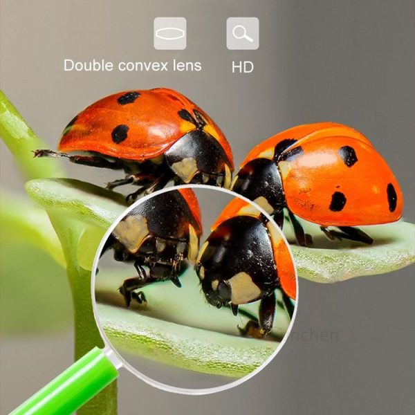 4pcs 40mm 3X Plastic Acrylic Lens Children Teaching Magnifier Color Handle Magnifying Glass, Color Random Delivery - Image 6