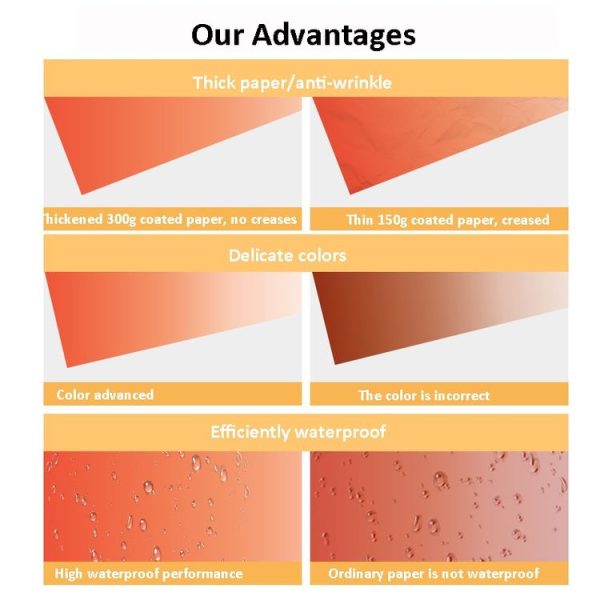 57 x 87cm Double-sided Gradient Background Paper Atmospheric Still Life Photography Props (Orange Meat +Pink) - Image 5