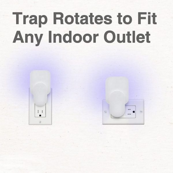 Plug-In Refillable Fly Trap For Flies, Moths, Gnats, And Other Flying Insects With 2 Glue Cards EU Plug (White) - Image 2