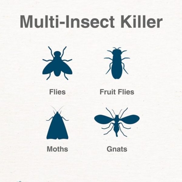 Plug-In Refillable Fly Trap For Flies, Moths, Gnats, And Other Flying Insects With 2 Glue Cards EU Plug (White) - Image 5