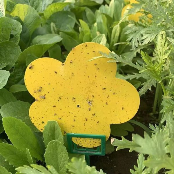 10pcs Flower Type Sticky Panel Double Side Alien Stickboard Seductive Insect Trap Yellow Board (Thick Flower) - Image 5