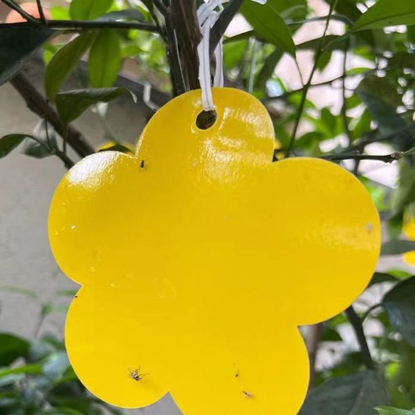 10pcs Flower Type Sticky Panel Double Side Alien Stickboard Seductive Insect Trap Yellow Board (Thick Flower) - Image 6