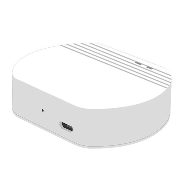Ewelink Whole House Smart Home ZigBee Wireless Gateway with SONOFF Gateway Devices (EV-WG-2)