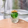 Mini Simulated Cactus Car Navigator Rearview Mirror Ornaments Decoration (4pcs / Set) - Image 5