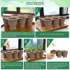 6 Holes Nursery Box Small Vegetable Flower Plant Breathable Growing Tray Silicone Folding Nursery Pot (Brown) - Image 8
