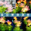 Solar Garden Decorative Lights LED Outdoor Glowing Petals Waterproof Ground Plug Ambient Lights (Flowers) - Image 7