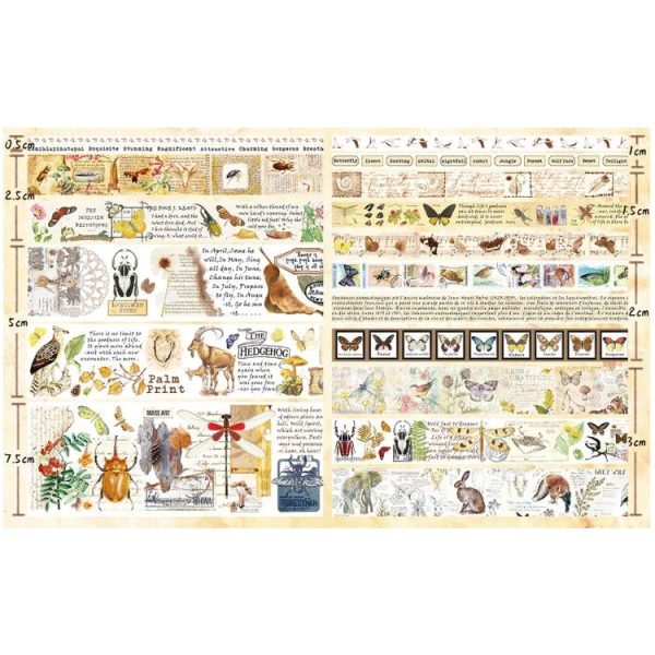 18rolls / Box Nostalgic Memory Washi Tape Set Retro Style DIY Scrapbook Stickers, Style: Forest Dense Language - Image 3