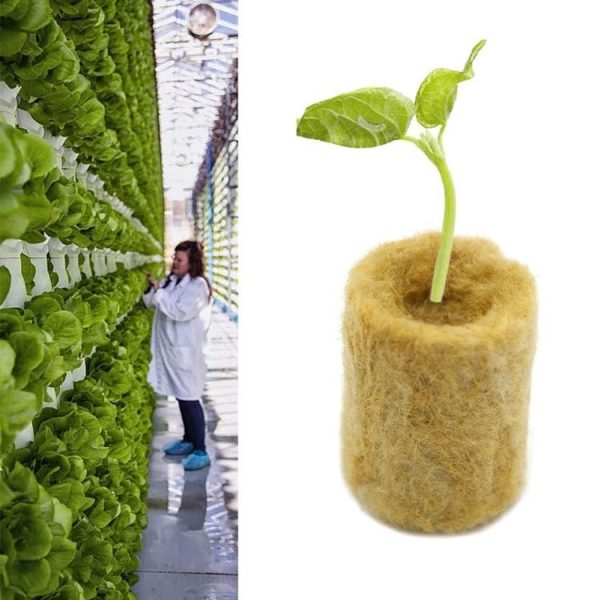 27x20mm Agricultural Hydroponic Seedling Sowing Rock Wool Plug (50pcs) - Image 4