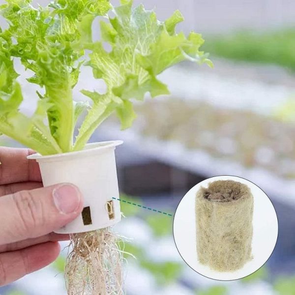 27x20mm Agricultural Hydroponic Seedling Sowing Rock Wool Plug (50pcs) - Image 5