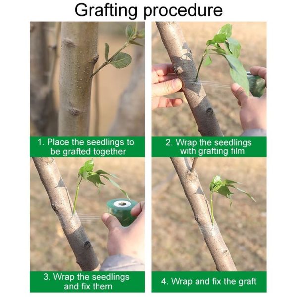 2cm Garden Grafting Tape Fruit Tree Seedling Self-Adhesive Wrap - Image 8