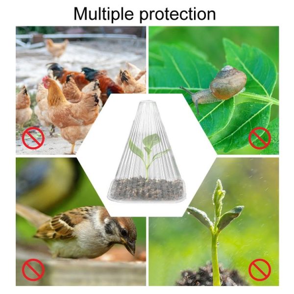 2pcs Field Plant Nursery Protection Cover Seedling Windproof Insulation Shields, Style: Tapered - Image 6