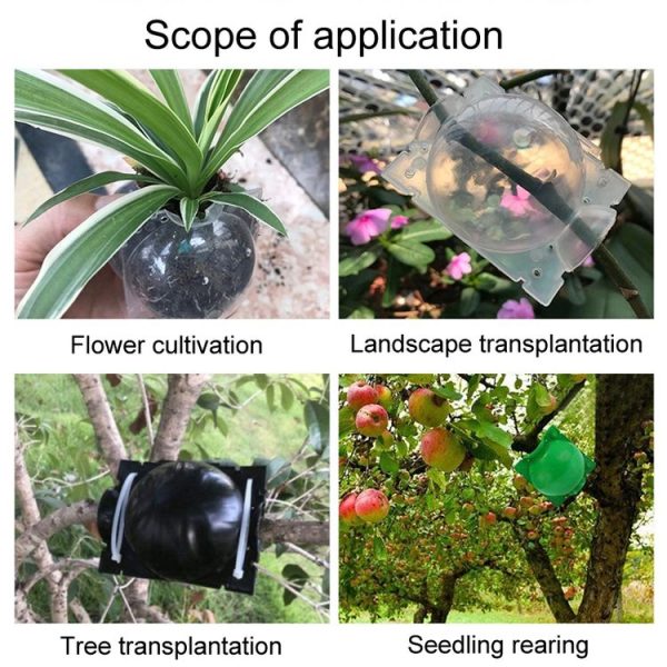 2pcs Plants Growth High Pressure Box Spherical Root Controller Grafting Root Cases, Model: S Black 50mm - Image 10