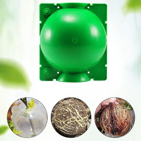 2pcs Plants Growth High Pressure Box Spherical Root Controller Grafting Root Cases, Model: S Black 50mm - Image 2