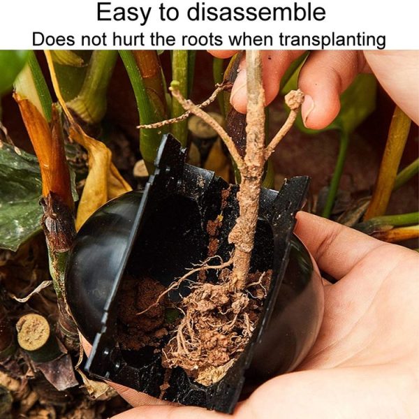 2pcs Plants Growth High Pressure Box Spherical Root Controller Grafting Root Cases, Model: S Black 50mm - Image 7