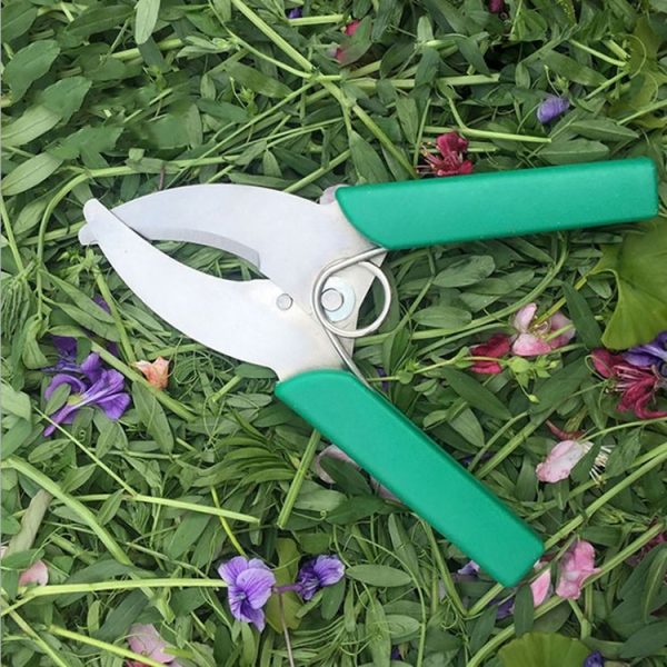 Fruit Tree Cutting Shears Seedling Stripping Scissors Garden Planting Branch Bark Cutter (Green) - Image 2