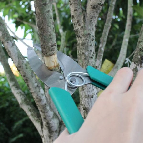 Fruit Tree Cutting Shears Seedling Stripping Scissors Garden Planting Branch Bark Cutter (Green) - Image 5