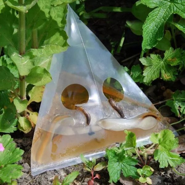 20pcs / Pack Snail Slug Trap Bag Garden Vegetable Plot Trap Transparent Plastic Bag - Image 2