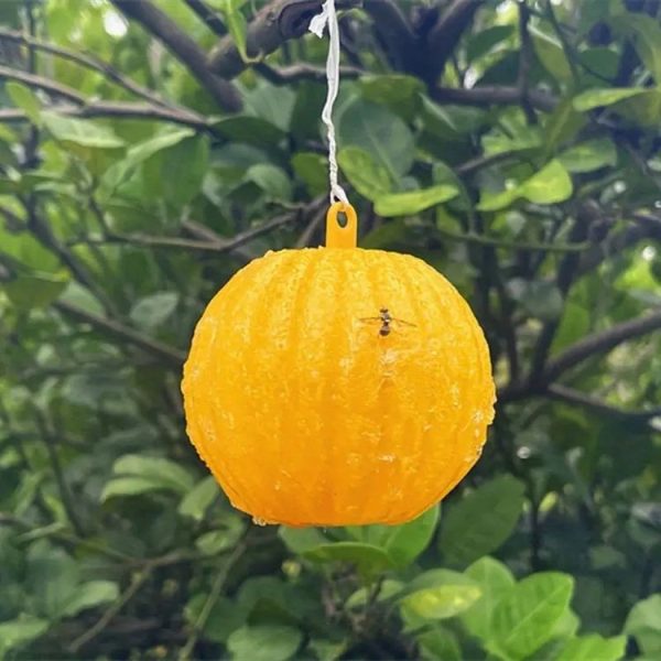 Outdoor Fruit Fly Mosquito Citrus Trap Sticky Ball - Image 6