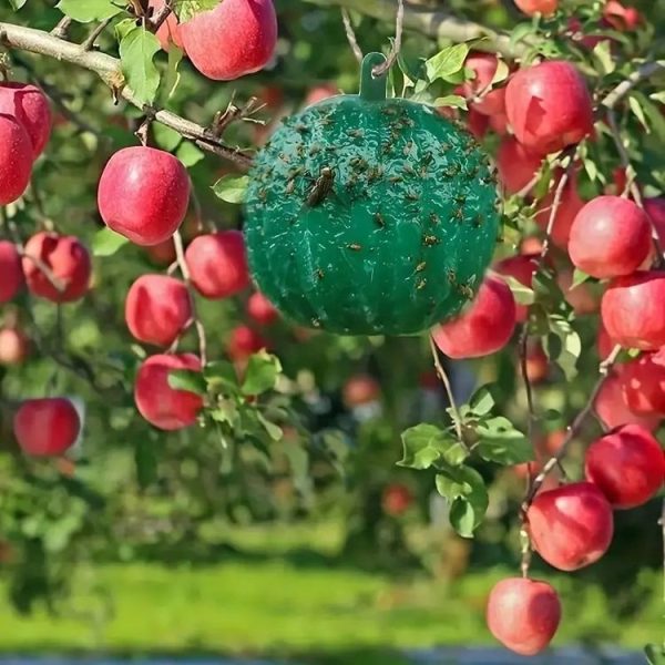 Outdoor Fruit Fly Mosquito Citrus Trap Sticky Ball (Green) - Image 4