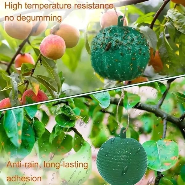 Outdoor Fruit Fly Mosquito Citrus Trap Sticky Ball (Green) - Image 5
