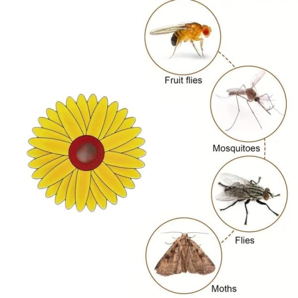 3pcs Fly Stickers Window Traps Insecticide Paper Sticky Insect Traps - Image 2