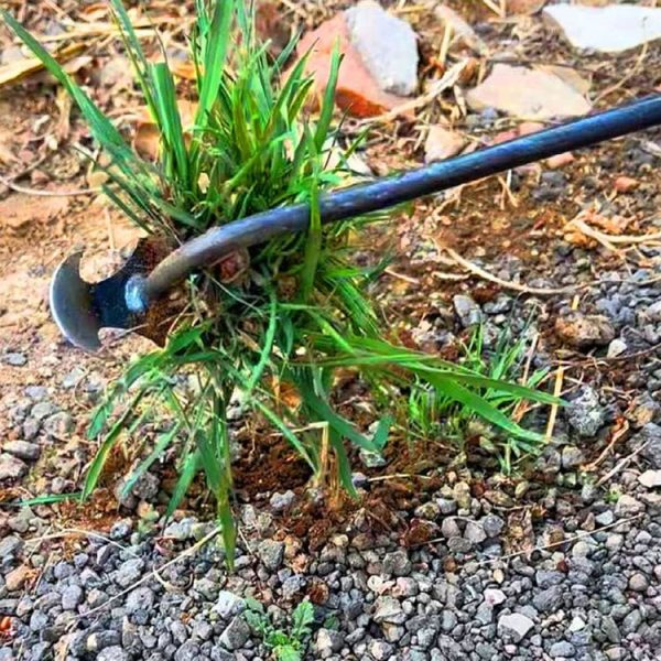 Four-Tooth Dual Purpose Weed Remover Tool Gardening Weed Rake Uprooting Weeding Tool, Length: 29cm Wood Handle - Image 9