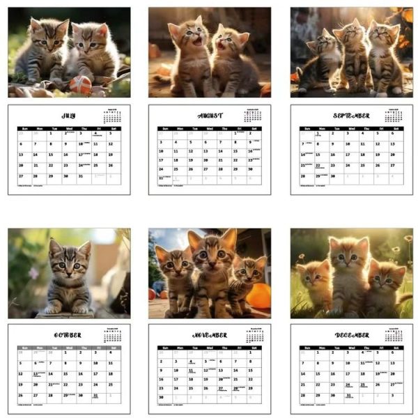 2025 Year 12 Month Kitty Cats English Calendar Cute Wall Calendar - Image 5