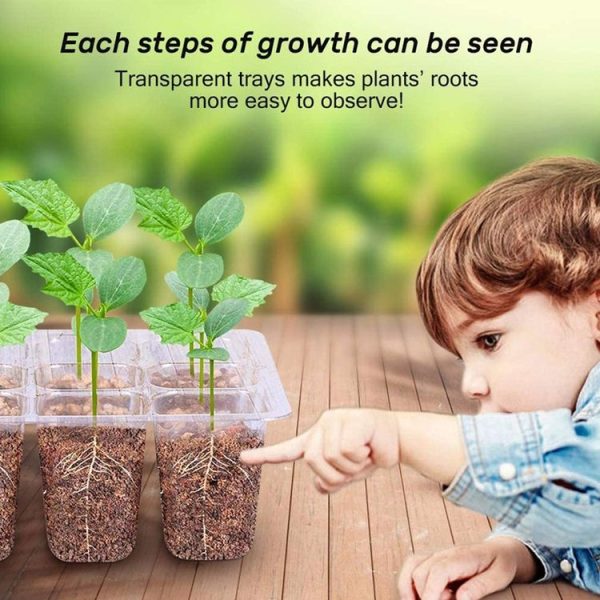 12-Hole Heightened Succulent Vegetable Seedling Pot With Lid (Black) - Image 6